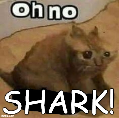 oH nO cRInGe | SHARK! | image tagged in oh no cringe | made w/ Imgflip meme maker