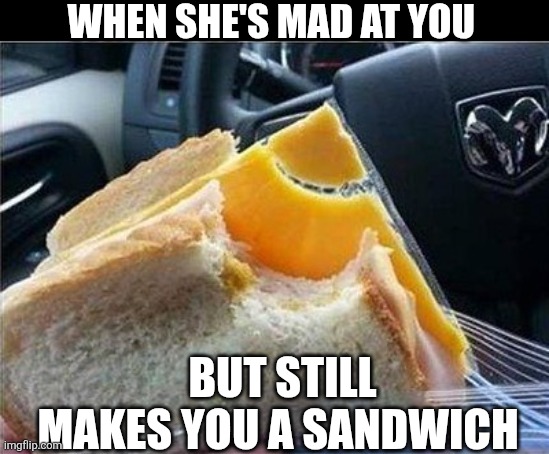 When She's Mad At You But Still Makes You A Sandwich | WHEN SHE'S MAD AT YOU; BUT STILL MAKES YOU A SANDWICH | image tagged in chrisjoines1 | made w/ Imgflip meme maker