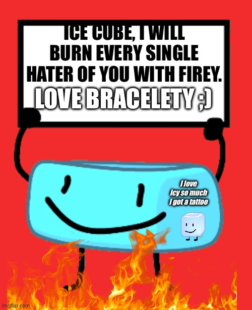 Bracelety Sign | ICE CUBE, I WILL BURN EVERY SINGLE HATER OF YOU WITH FIREY. LOVE BRACELETY ;); I love icy so much i got a tattoo | image tagged in bracelety sign | made w/ Imgflip meme maker