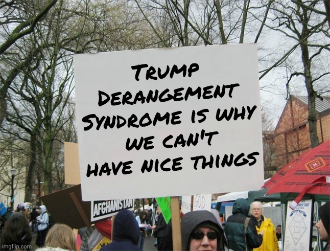 Blank protest sign | Trump Derangement Syndrome is why we can't have nice things | image tagged in blank protest sign | made w/ Imgflip meme maker