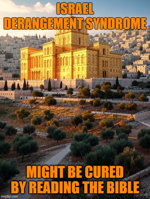 IDS | ISRAEL DERANGEMENT SYNDROME; MIGHT BE CURED BY READING THE BIBLE | image tagged in israel | made w/ Imgflip meme maker