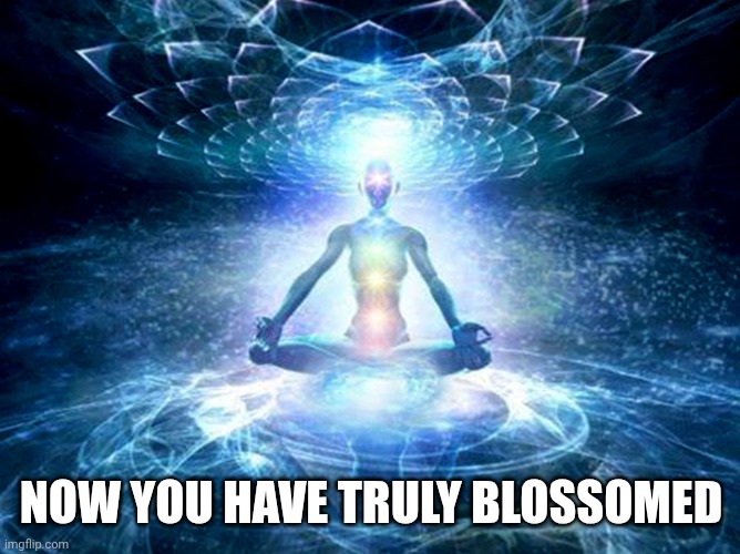 enlightened mind | NOW YOU HAVE TRULY BLOSSOMED | image tagged in enlightened mind | made w/ Imgflip meme maker