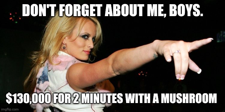 Stormy Daniels | DON'T FORGET ABOUT ME, BOYS. $130,000 FOR 2 MINUTES WITH A MUSHROOM | image tagged in stormy daniels | made w/ Imgflip meme maker