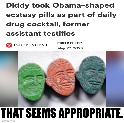 Another Barack Hussein Obama meme. | THAT SEEMS APPROPRIATE. | image tagged in barack obama,obama,democrat party | made w/ Imgflip meme maker