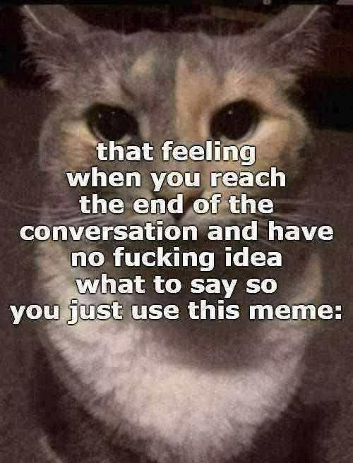 that feeling when Blank Meme Template