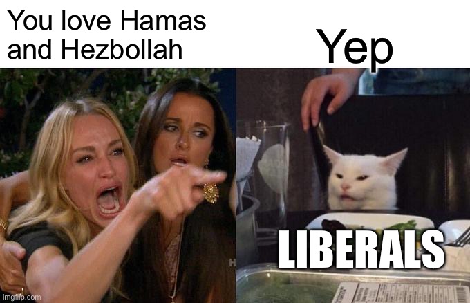 Woman Yelling At Cat Meme | You love Hamas and Hezbollah Yep LIBERALS | image tagged in memes,woman yelling at cat | made w/ Imgflip meme maker