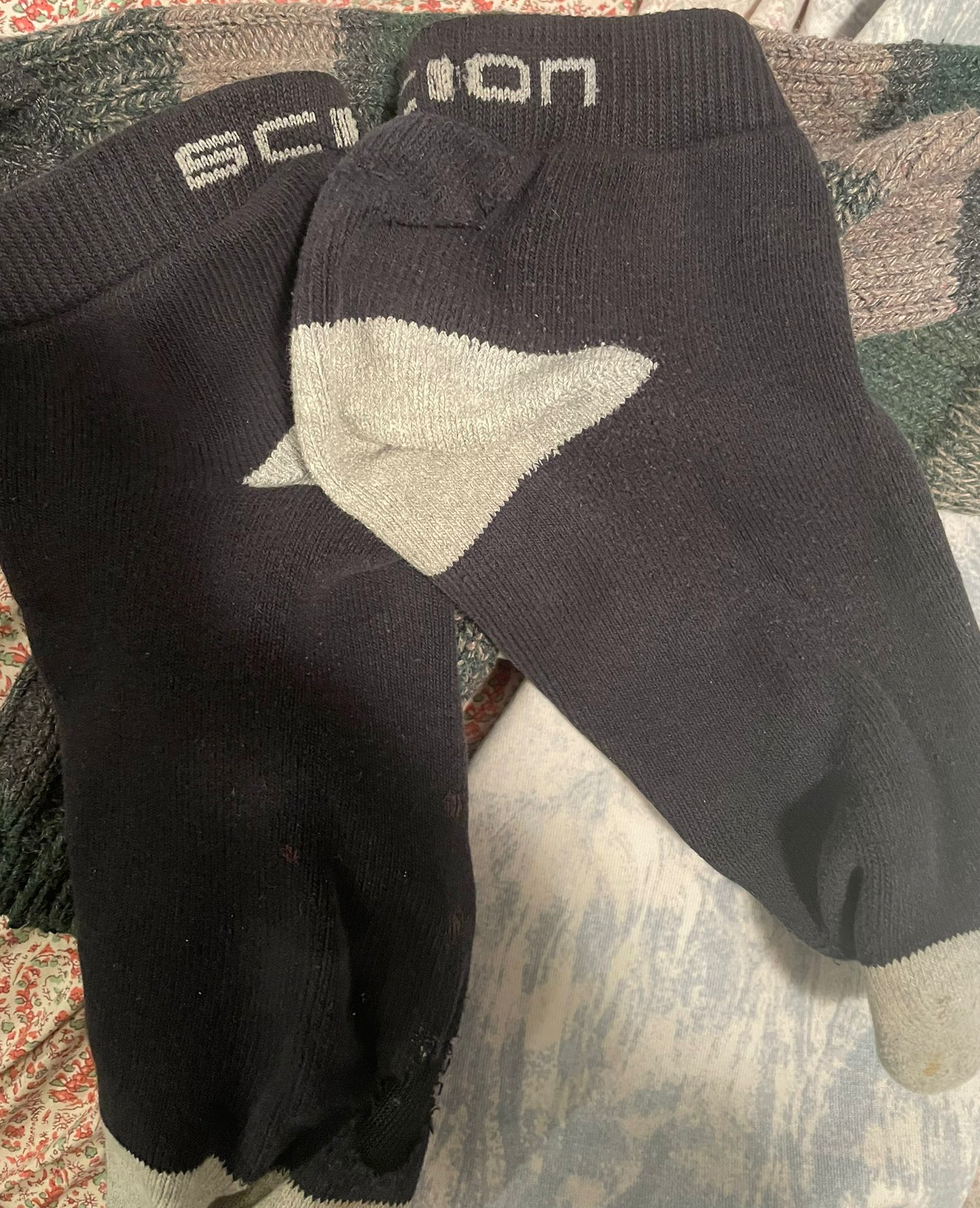 Scion socks Blank Meme Template