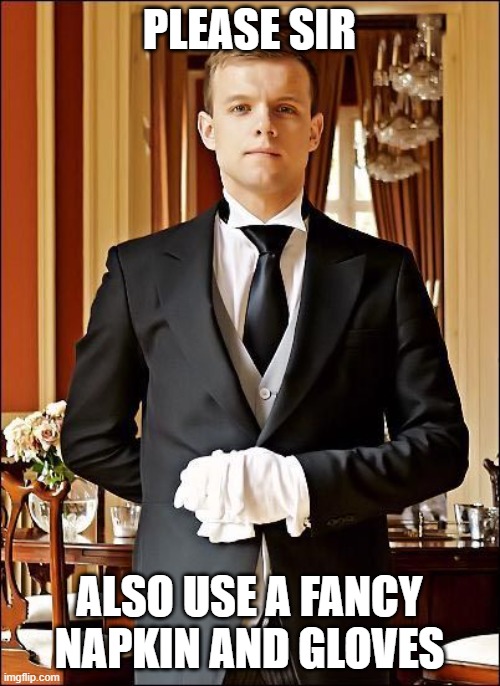 PLEASE SIR ALSO USE A FANCY NAPKIN AND GLOVES | made w/ Imgflip meme maker