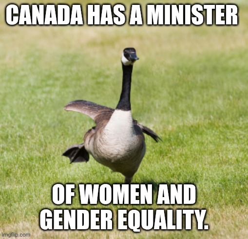 "There I still much work to be done!" Translation: Straight Men still have rights and she hates that. | made w/ Imgflip meme maker