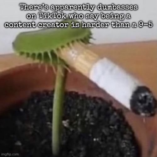 plant weeds | There’s apparently dumbasses on TikTok who say being a content creator is harder than a 9-5 | image tagged in plant weeds,msmg | made w/ Imgflip meme maker
