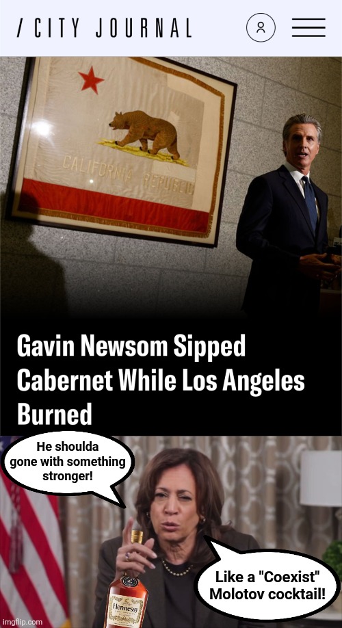Your state's biggest city's on fire?  Go to a wine tasting! | He shoulda
gone with something
stronger! Like a "Coexist"
Molotov cocktail! | image tagged in kamala bottle,memes,gavin newsom,wine tasting,los angeles riots,democrats | made w/ Imgflip meme maker