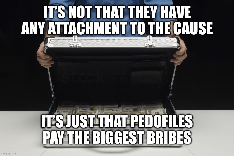 Money Briefcase | IT’S NOT THAT THEY HAVE ANY ATTACHMENT TO THE CAUSE IT’S JUST THAT PEDOFILES PAY THE BIGGEST BRIBES | image tagged in money briefcase | made w/ Imgflip meme maker