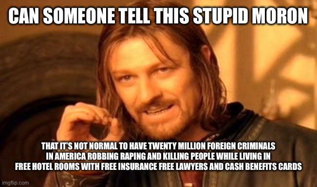 One Does Not Simply Meme | CAN SOMEONE TELL THIS STUPID MORON THAT IT’S NOT NORMAL TO HAVE TWENTY MILLION FOREIGN CRIMINALS IN AMERICA ROBBING RAPING AND KILLING PEOPL | image tagged in memes,one does not simply | made w/ Imgflip meme maker