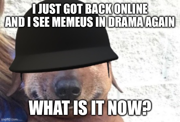 maggot | I JUST GOT BACK ONLINE AND I SEE MEMEUS IN DRAMA AGAIN; WHAT IS IT NOW? | image tagged in maggot | made w/ Imgflip meme maker