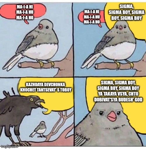 annoyed bird | SIGMA, SIGMA BOY, SIGMA BOY, SIGMA BOY; MA-I-A HI
MA-I-A HU
MA-I-A HO; MA-I-A HI
MA-I-A HU
MA-I-A HO; SIGMA, SIGMA BOY, SIGMA BOY, SIGMA BOY
YA TAKAYA VSYA, CHTO DOBIVAT'SYA BUDESH' GOD; KAZHDAYA DEVCHONKA 
KHOCHET TANTSEVAT' S TOBOY | image tagged in annoyed bird | made w/ Imgflip meme maker