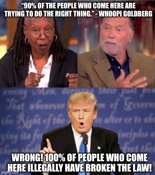 “90% OF THE PEOPLE WHO COME HERE ARE TRYING TO DO THE RIGHT THING.” - WHOOPI GOLDBERG; WRONG! 100% OF PEOPLE WHO COME HERE ILLEGALLY HAVE BROKEN THE LAW! | image tagged in donald trump wrong | made w/ Imgflip meme maker