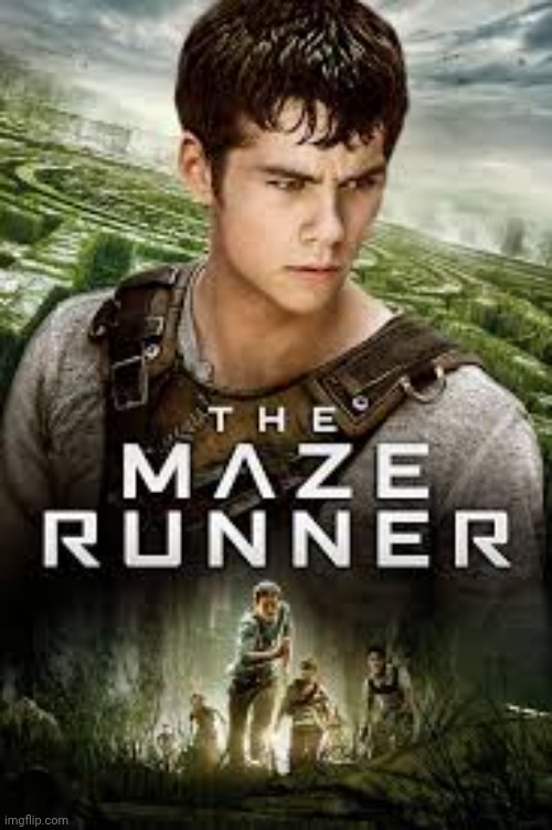 Maze Maze Runner | image tagged in maze maze runner | made w/ Imgflip meme maker