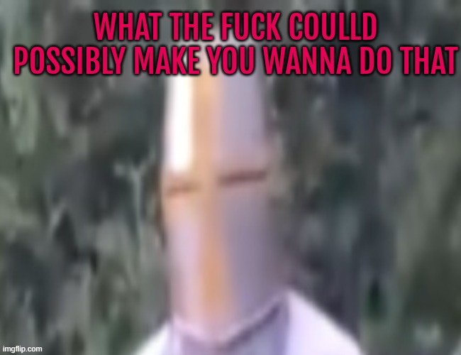 What The pope | WHAT THE FUCK COULLD POSSIBLY MAKE YOU WANNA DO THAT | image tagged in what the pope | made w/ Imgflip meme maker