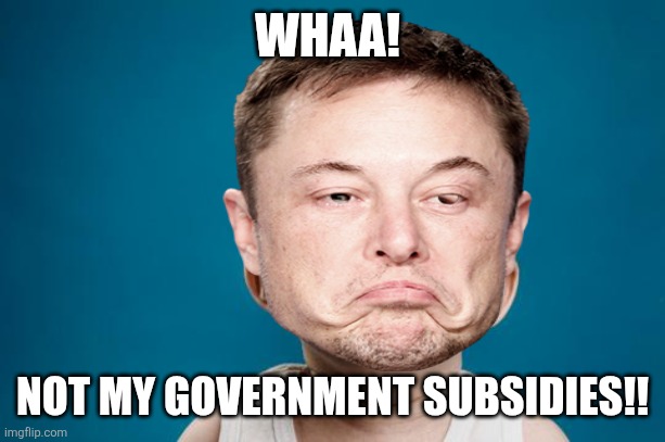BABY CRYING | WHAA! NOT MY GOVERNMENT SUBSIDIES!! | image tagged in baby crying | made w/ Imgflip meme maker