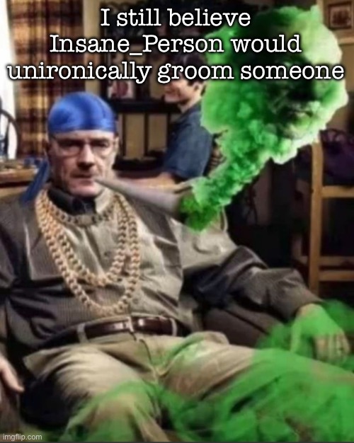 Waltuh | I still believe Insane_Person would unironically groom someone | image tagged in waltuh,msmg | made w/ Imgflip meme maker