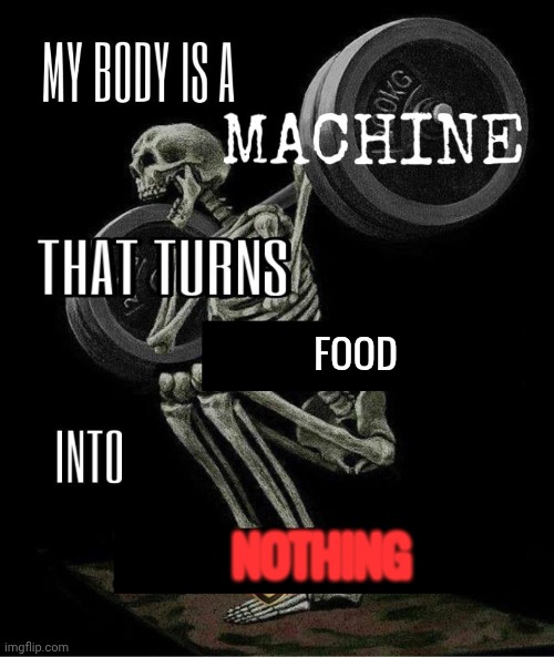 My body is machine | FOOD; NOTHING | image tagged in my body is machine | made w/ Imgflip meme maker