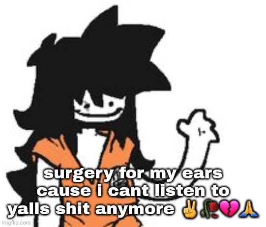 safebooru is pretty goated ngl | surgery for my ears cause i cant listen to yalls shit anymore ✌️🥀💔🙏 | image tagged in safebooru is pretty goated ngl | made w/ Imgflip meme maker