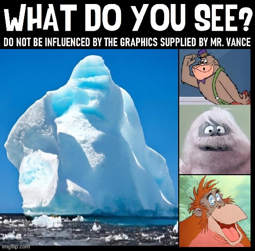 Concentrate!  Do not be distracted by idiots | image tagged in vince vance,iceberg,bumble,magilla gorilla,king kong,memes | made w/ Imgflip meme maker