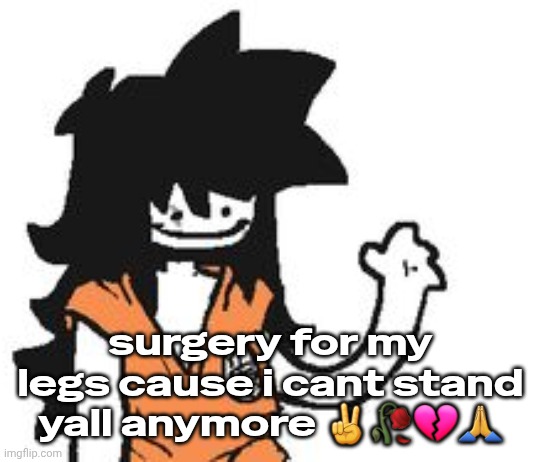 safebooru is pretty goated ngl | surgery for my legs cause i cant stand yall anymore ✌️🥀💔🙏 | image tagged in safebooru is pretty goated ngl | made w/ Imgflip meme maker