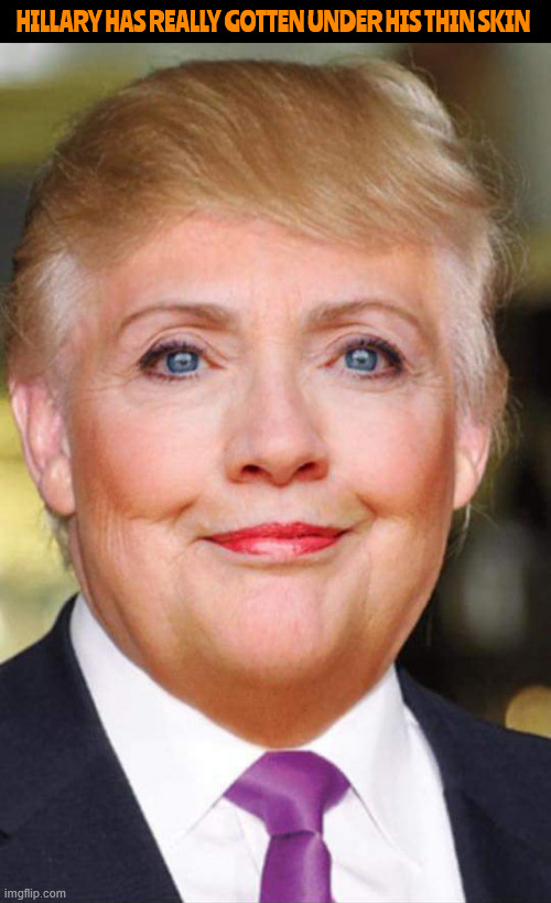 Hillary gets under Trump's thin skin | HILLARY HAS REALLY GOTTEN UNDER HIS THIN SKIN | image tagged in hillary trump,hillary gets under trump's thin skin | made w/ Imgflip meme maker