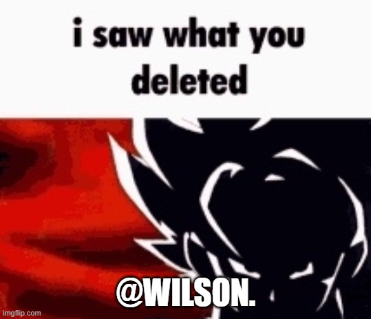 i saw what you deleted | @WILSON. | image tagged in i saw what you deleted | made w/ Imgflip meme maker