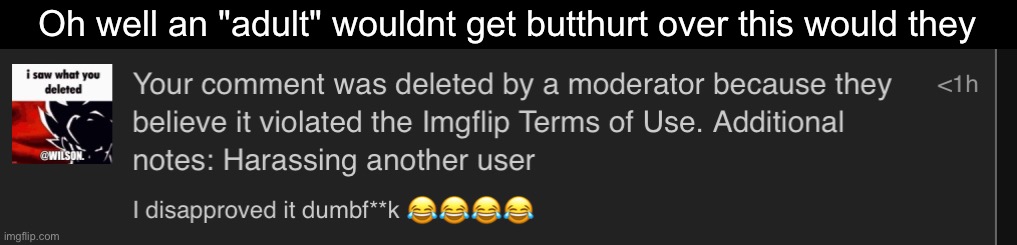 Oh well an "adult" wouldnt get butthurt over this would they | made w/ Imgflip meme maker