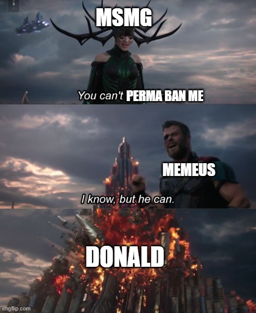 You can't defeat me | MSMG; PERMA BAN ME; MEMEUS; DONALD | image tagged in you can't defeat me | made w/ Imgflip meme maker