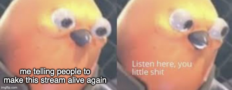 I have been rickrolled.  Rickrolled completely and totally.  It was beautiful. | me telling people to make this stream alive again | image tagged in listen here you little shit bird | made w/ Imgflip meme maker