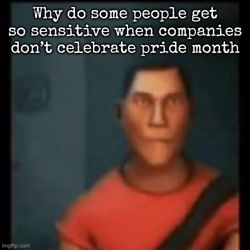 Disappointed Scout | Why do some people get so sensitive when companies don’t celebrate pride month | image tagged in disappointed scout,msmg | made w/ Imgflip meme maker