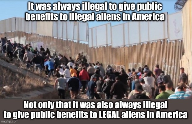 Illegal Immigrants | It was always illegal to give public benefits to illegal aliens in America; Not only that it was also always illegal to give public benefits to LEGAL aliens in America | image tagged in illegal immigrants,alien invasion,liberal logic,stupid liberals,wait thats illegal,liberal hypocrisy | made w/ Imgflip meme maker