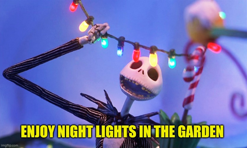 Enjoy the night lights in the garden | ENJOY NIGHT LIGHTS IN THE GARDEN | image tagged in garden,lanterns | made w/ Imgflip meme maker