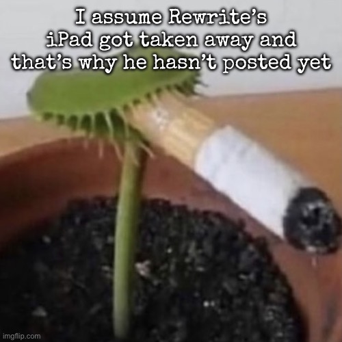 plant weeds | I assume Rewrite’s iPad got taken away and that’s why he hasn’t posted yet; (That’s meant to be good if you don’t get it, dumbass) | image tagged in plant weeds,msmg | made w/ Imgflip meme maker