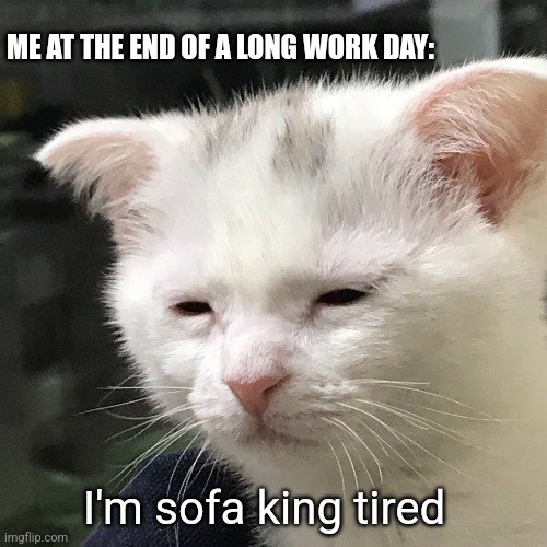 I'm awake, but at what cost? | ME AT THE END OF A LONG WORK DAY: I'm sofa king tired | image tagged in i'm awake but at what cost | made w/ Imgflip meme maker