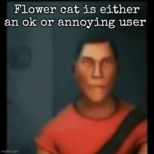 Disappointed Scout | Flower cat is either an ok or annoying user | image tagged in disappointed scout,msmg | made w/ Imgflip meme maker
