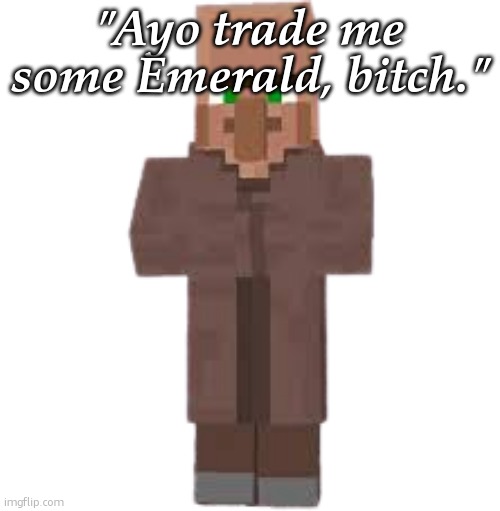 villager | "Ayo trade me some Emerald, bitch." | image tagged in villager | made w/ Imgflip meme maker