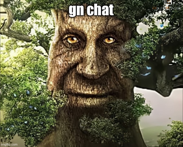it's getting late now i'm going to sleep | gn chat | image tagged in tree | made w/ Imgflip meme maker