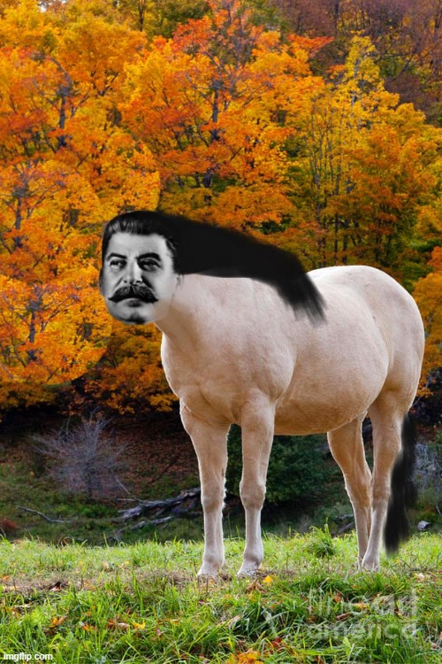 Joseph Stallion | image tagged in funny,horse,joseph stalin | made w/ Imgflip meme maker