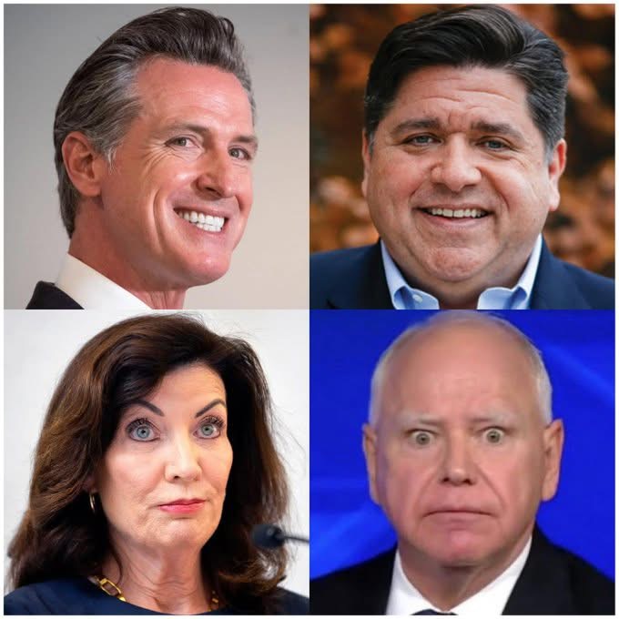Newsom Blank Meme Template