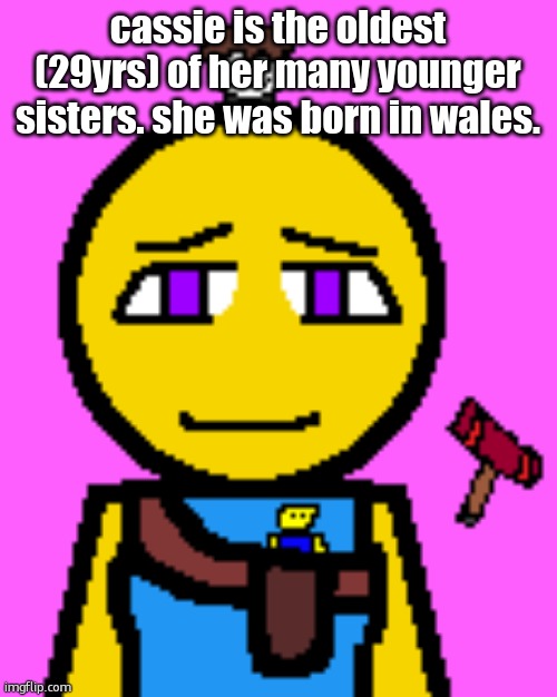 fun fact, this link has three Ys in it. | cassie is the oldest (29yrs) of her many younger sisters. she was born in wales. | image tagged in cassie brooks 2 | made w/ Imgflip meme maker