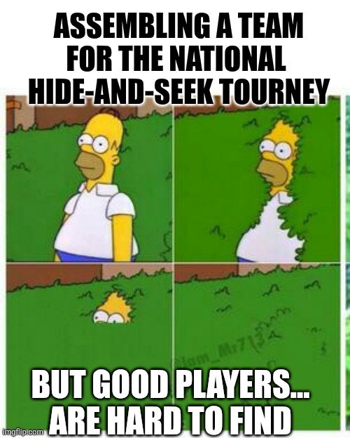 Need players for National Hide and Seek tournament | ASSEMBLING A TEAM
FOR THE NATIONAL 
HIDE-AND-SEEK TOURNEY; BUT GOOD PLAYERS...
ARE HARD TO FIND | image tagged in homer hides,dad joke,hide and seek | made w/ Imgflip meme maker