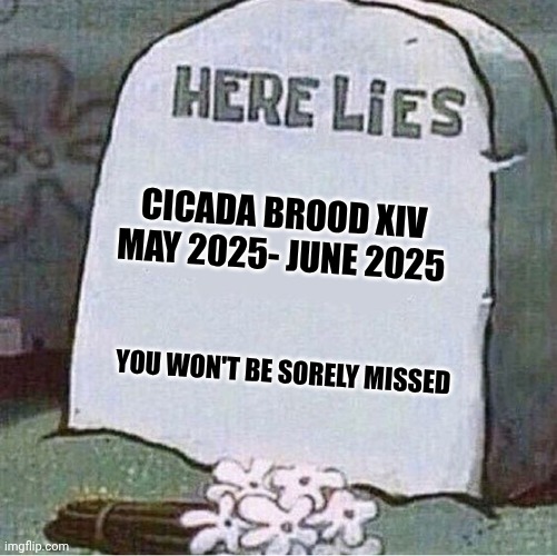 No more cicadas | CICADA BROOD XIV

MAY 2025- JUNE 2025; YOU WON'T BE SORELY MISSED | image tagged in here lies spongebob tombstone,cicada | made w/ Imgflip meme maker