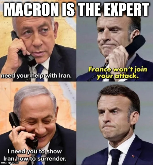 Macron is the expert | MACRON IS THE EXPERT | image tagged in macron,expert | made w/ Imgflip meme maker