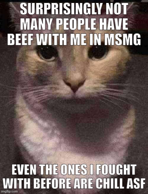cat dead stare | SURPRISINGLY NOT MANY PEOPLE HAVE BEEF WITH ME IN MSMG; EVEN THE ONES I FOUGHT WITH BEFORE ARE CHILL ASF | image tagged in cat dead stare,sans of topic | made w/ Imgflip meme maker