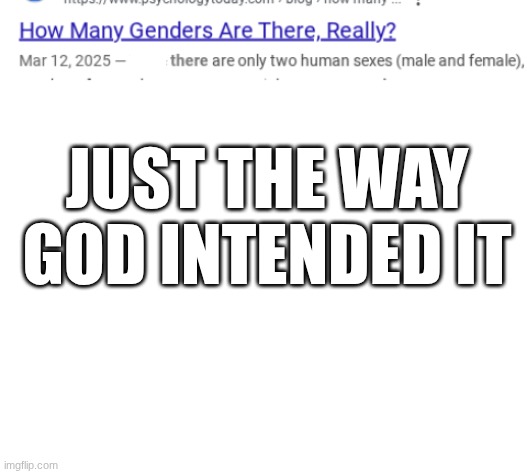 only 2 genders | JUST THE WAY GOD INTENDED IT | image tagged in blank white template,jesus,god | made w/ Imgflip meme maker