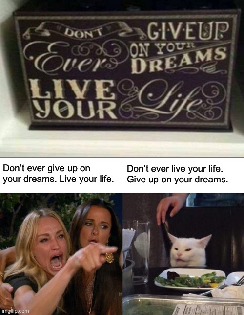 Woman Yelling At Cat | Don’t ever give up on your dreams. Live your life. Don’t ever live your life. Give up on your dreams. | image tagged in memes,woman yelling at cat | made w/ Imgflip meme maker